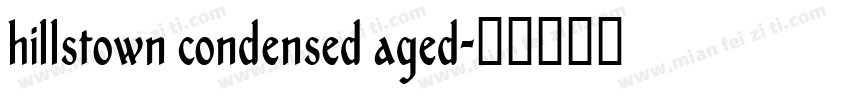 hillstown condensed aged字体转换